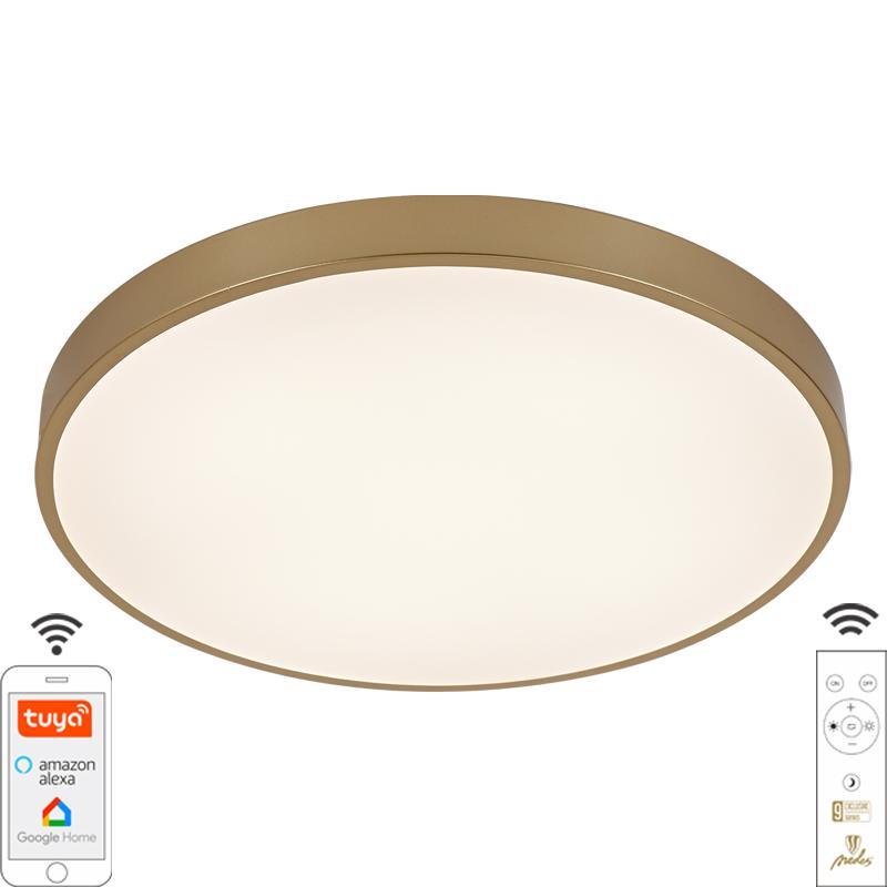 LED stropná lampa OPAL + diaľkový ovládač + Wifi 48W - LC902AS/GD 2