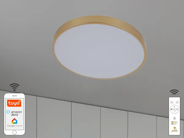 LED stropná lampa OPAL + diaľkový ovládač + Wifi 48W - LC902AS/GD