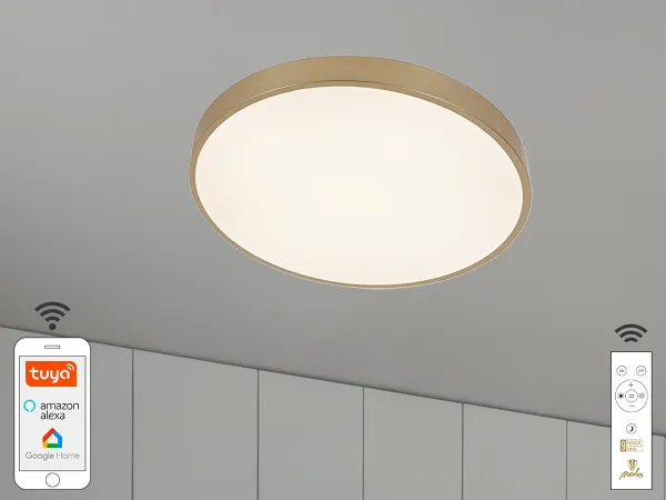 LED stropná lampa OPAL + diaľkový ovládač + Wifi 48W - LC902AS/GD 1