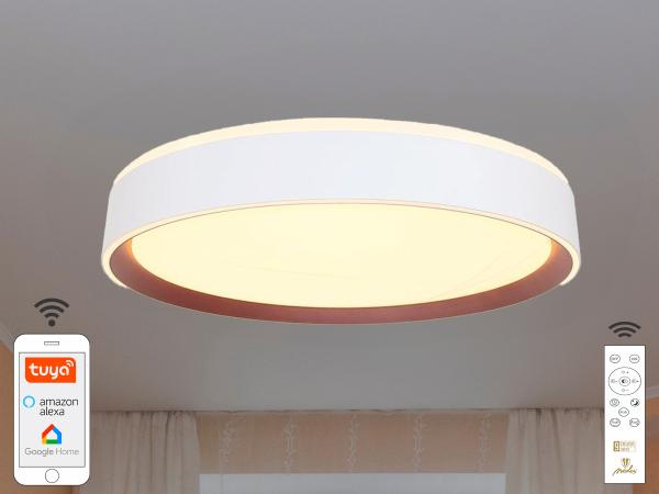 LED svietidlo OPAL + diaľkový ovládač + Wifi 48W - LC902M 1