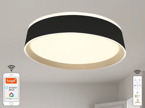 LED stropná lampa OPAL + diaľkový ovládač + Wifi 48W - LC902MB 1