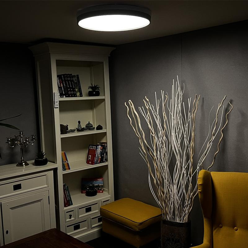 LED stropná lampa OPAL + diaľkový ovládač + Wifi 48W - LC902I 8