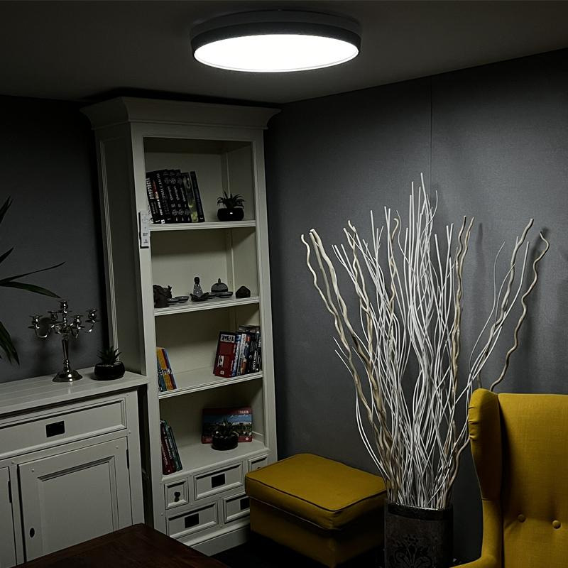 LED stropná lampa OPAL + diaľkový ovládač + Wifi 48W - LC902I 4